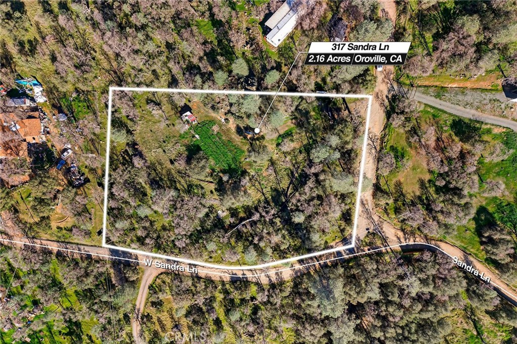 317 Sandra Property Photo 9