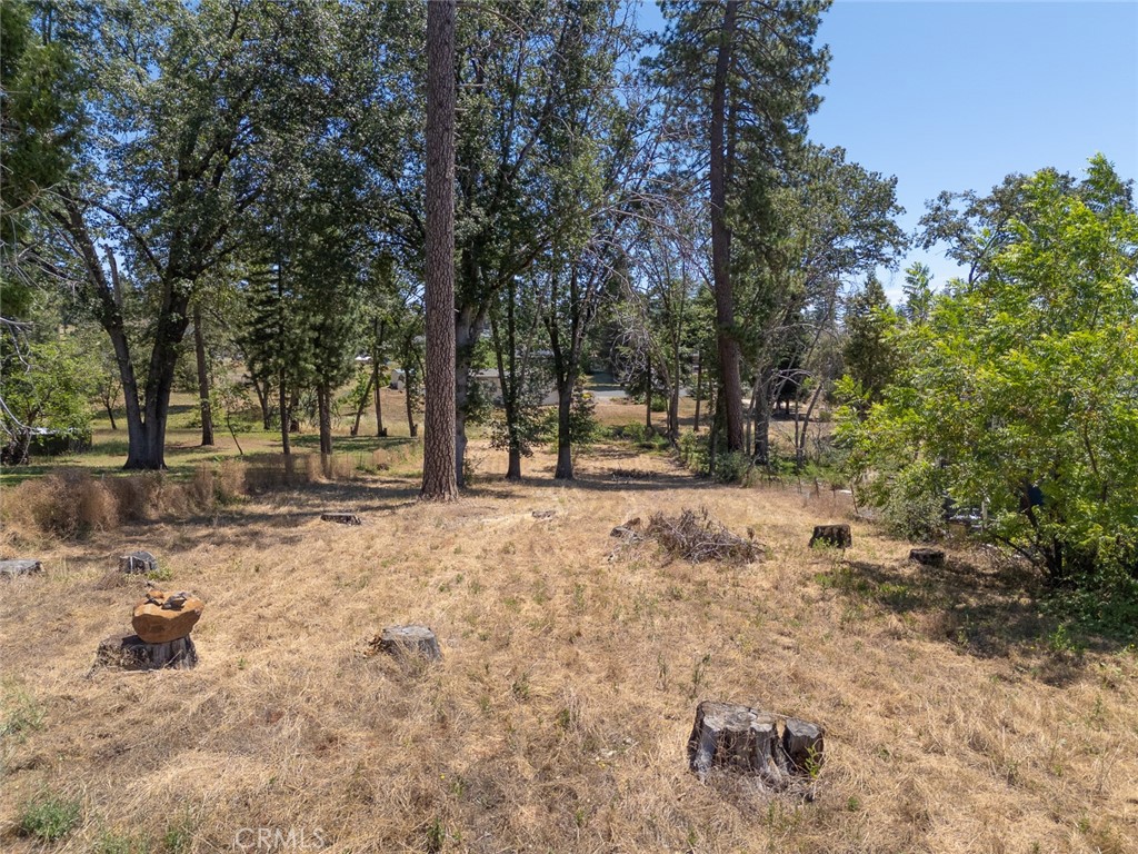7170 Clark Property Photo 11