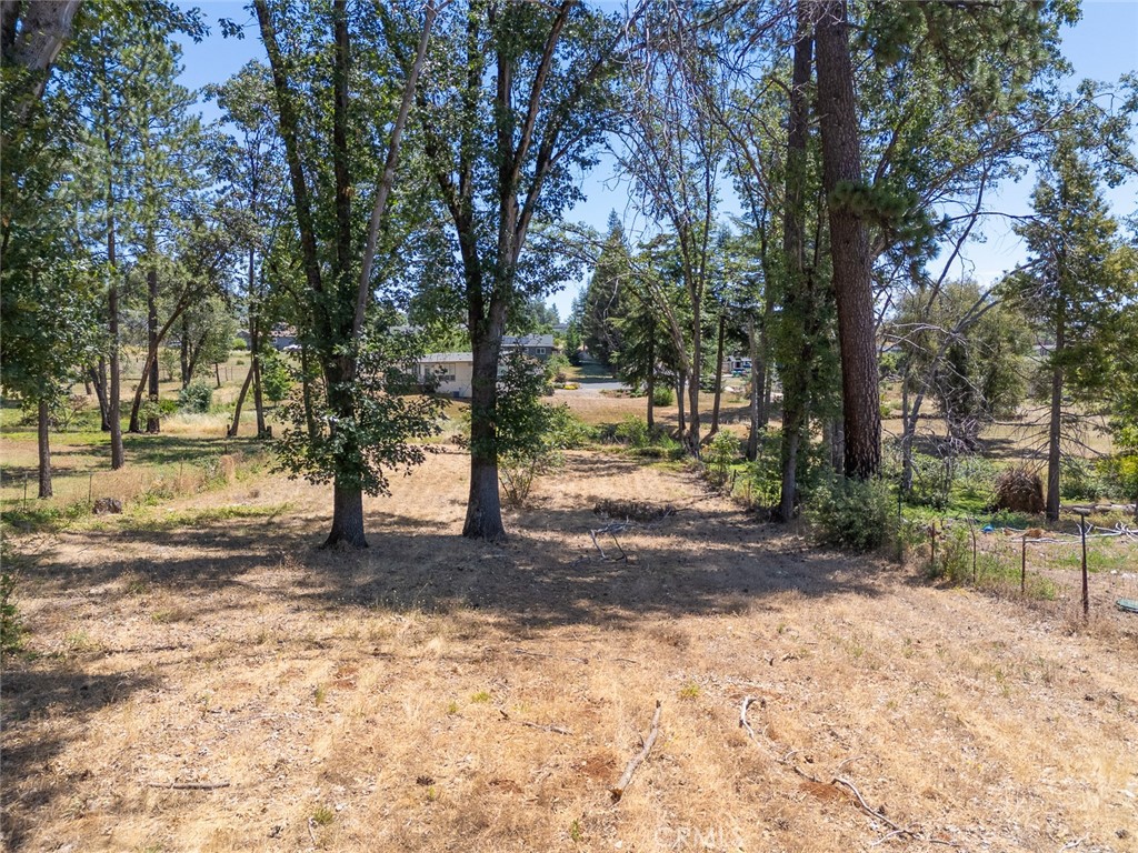 7170 Clark Property Photo 12