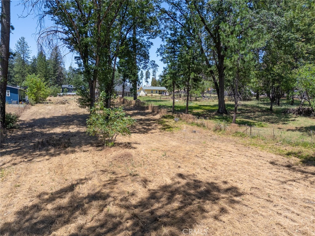 7170 Clark Property Photo 16