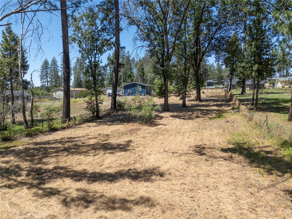 7170 Clark Property Photo 17