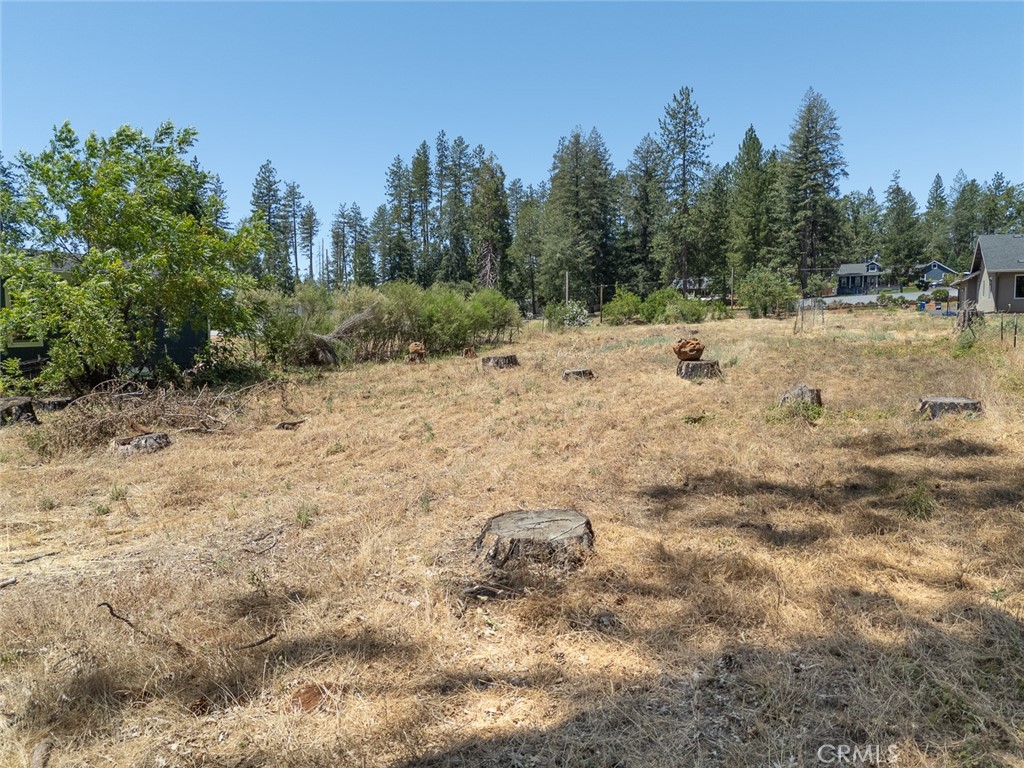 7170 Clark Property Photo 18