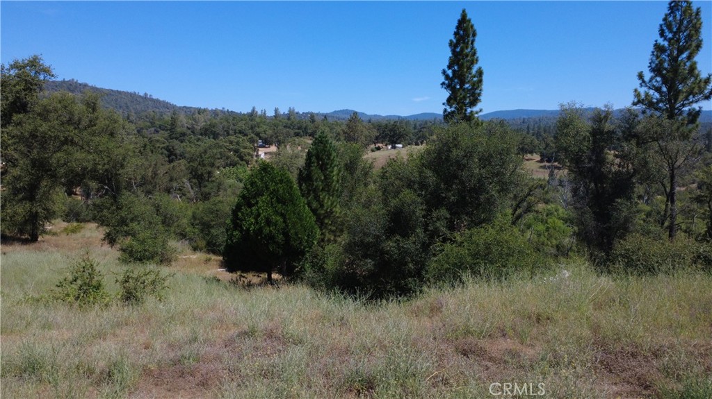 390 Darby Property Photo 1