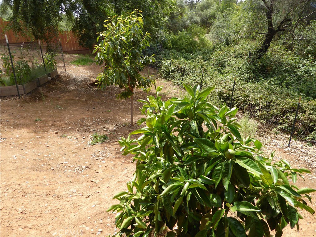 89 Glen Circle Property Photo 48