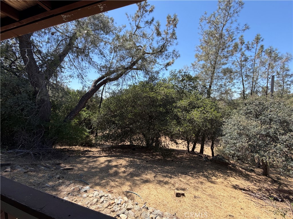 520 Black Bart Property Photo 15