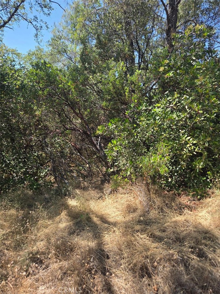 0 Roemelt Lane Property Photo 2