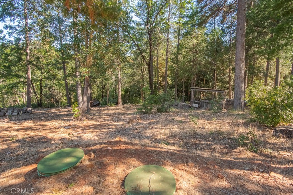 10647 Forbestown Road Property Photo 57