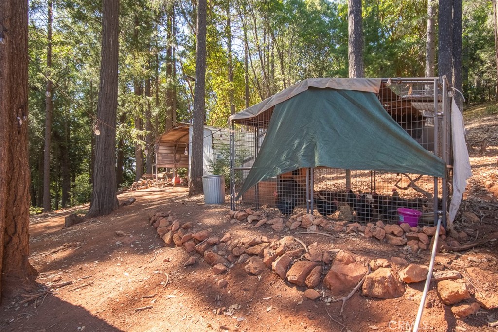 10647 Forbestown Road Property Photo 60