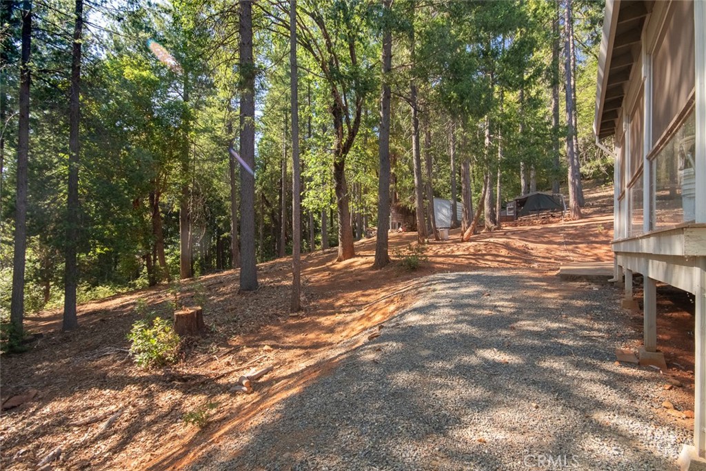 10647 Forbestown Road Property Photo 63