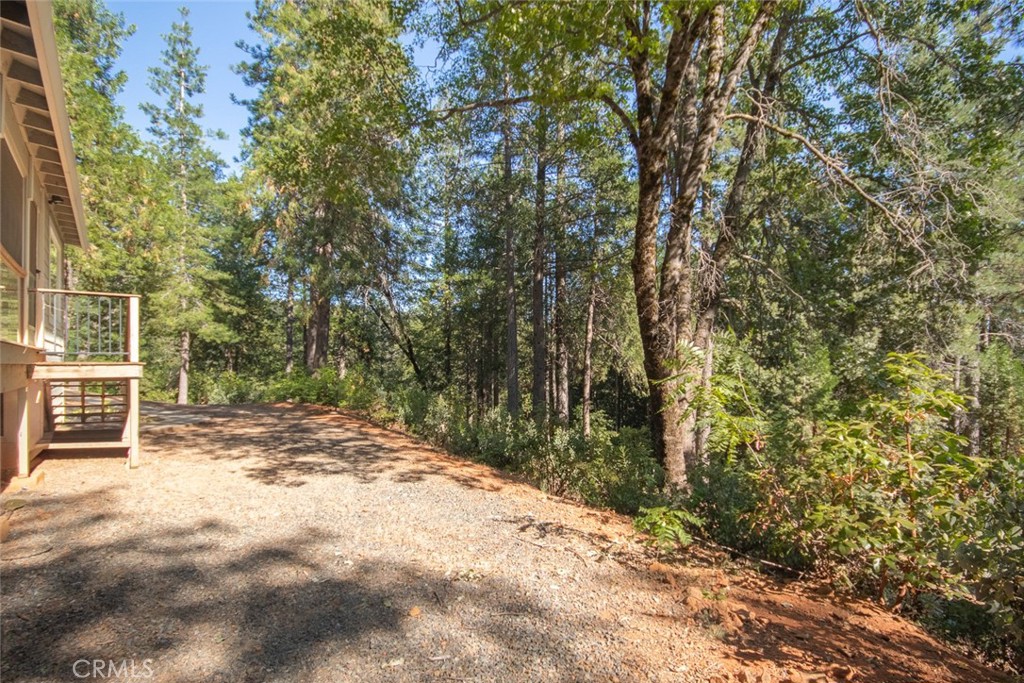 10647 Forbestown Road Property Photo 64