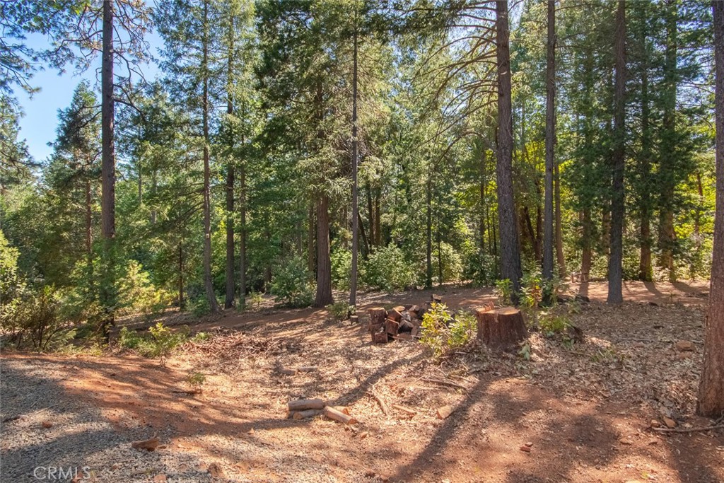 10647 Forbestown Road Property Photo 65