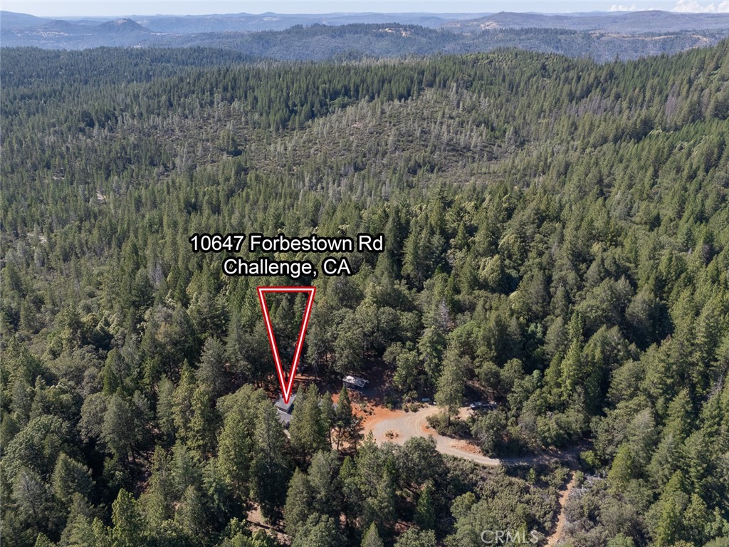 10647 Forbestown Road Property Photo 68