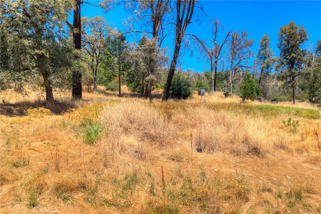 28 He Le Ve Property Photo 2