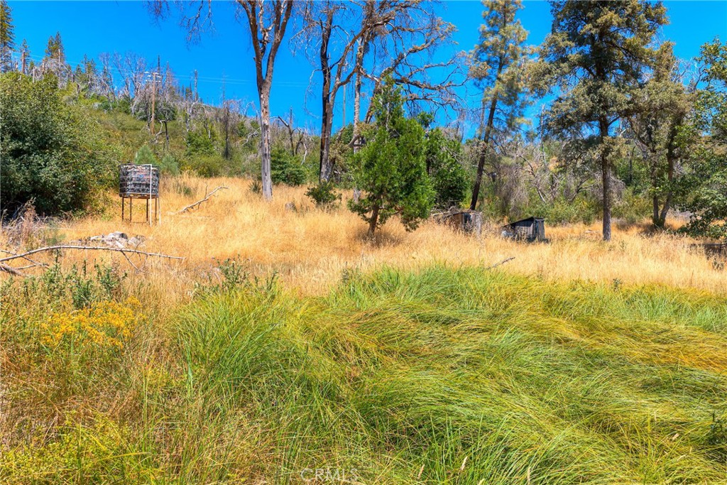 28 He Le Ve Property Photo 8