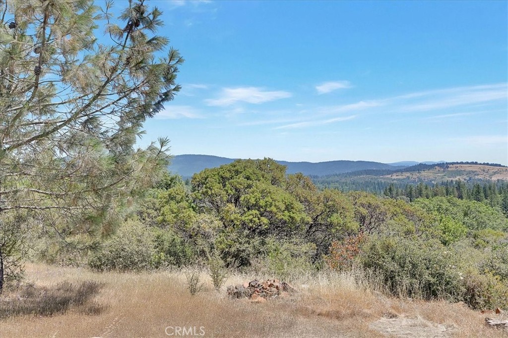 8972 Amoruso Lane Property Photo 18
