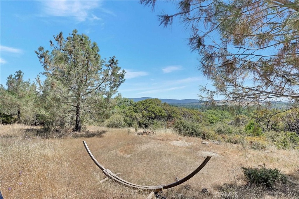 8972 Amoruso Lane Property Photo 19