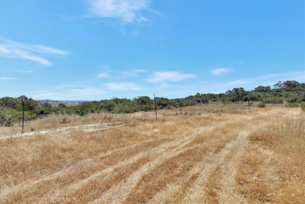 8972 Amoruso Lane Property Photo 20