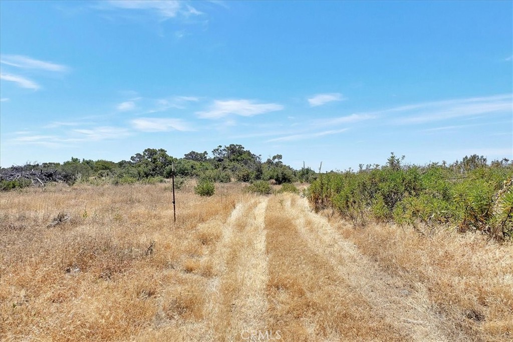 8972 Amoruso Lane Property Photo 21