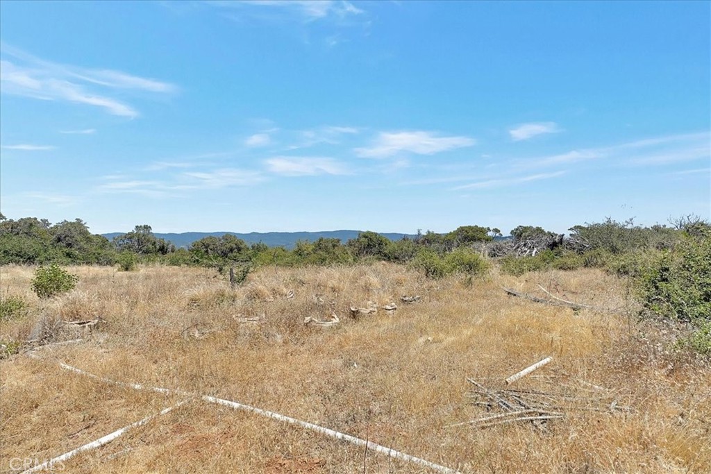 8972 Amoruso Lane Property Photo 22