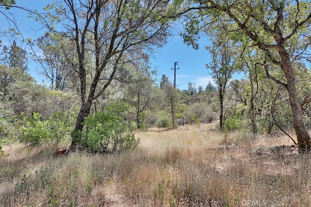 8972 Amoruso Lane Property Photo 24