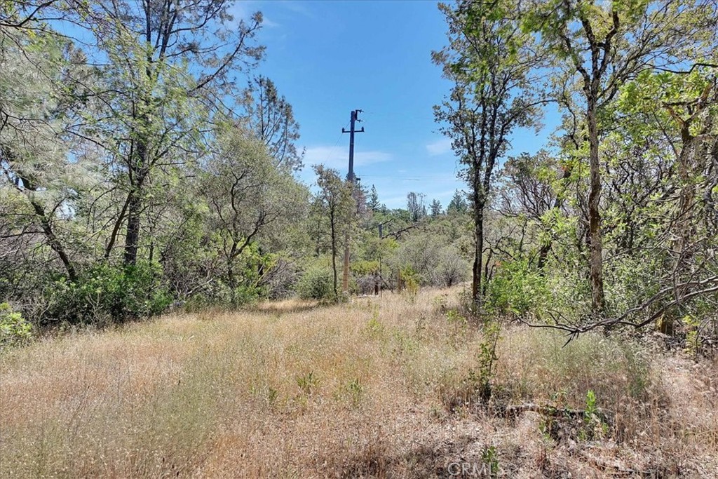 8972 Amoruso Lane Property Photo 25