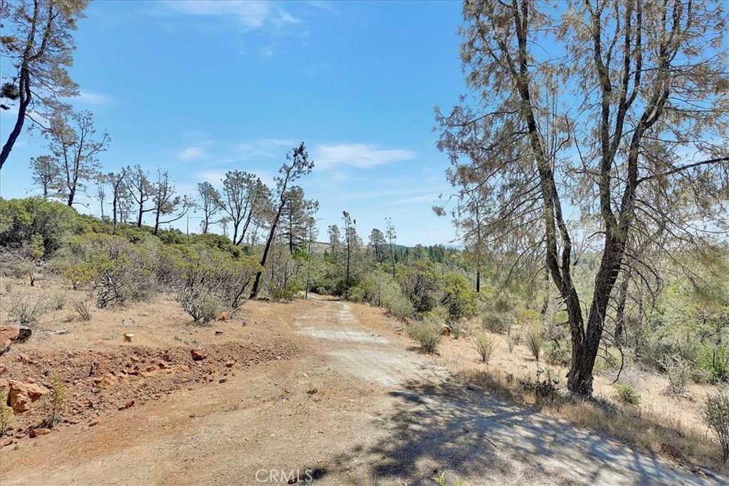 8972 Amoruso Lane Property Photo 30