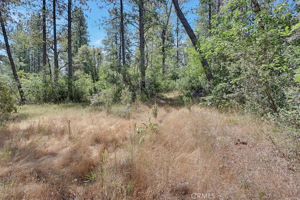 8972 Amoruso Lane Property Photo 34