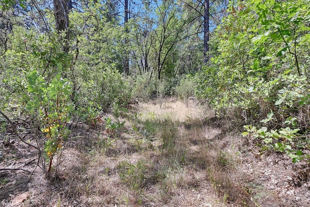 8972 Amoruso Lane Property Photo 35