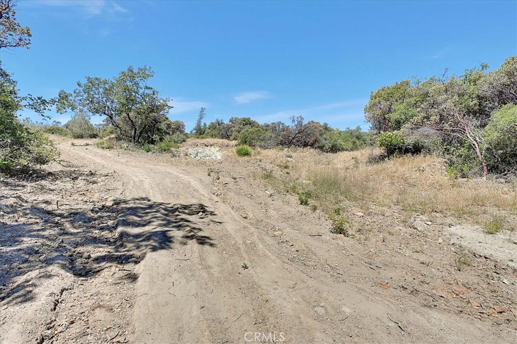8972 Amoruso Lane Property Photo 37