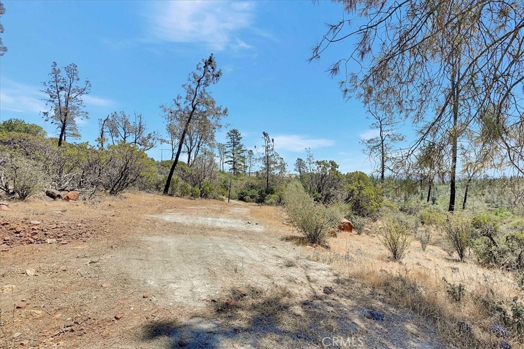 8972 Amoruso Lane Property Photo 41