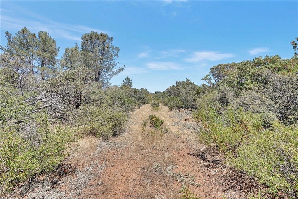 8972 Amoruso Lane Property Photo 45