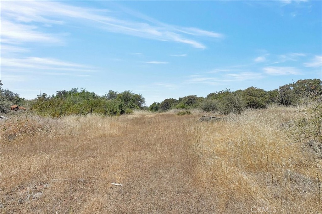 8972 Amoruso Lane Property Photo 49