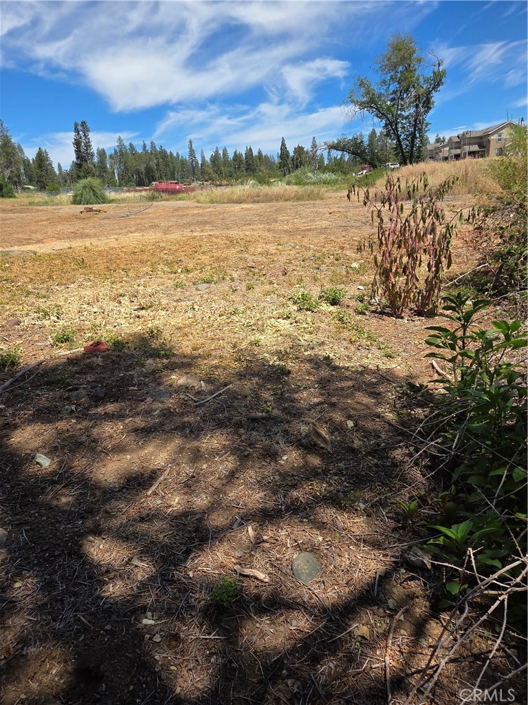 1572 Adams Road Property Photo 1