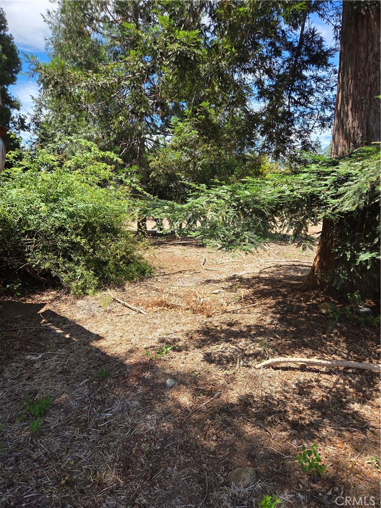 1572 Adams Road Property Photo 2
