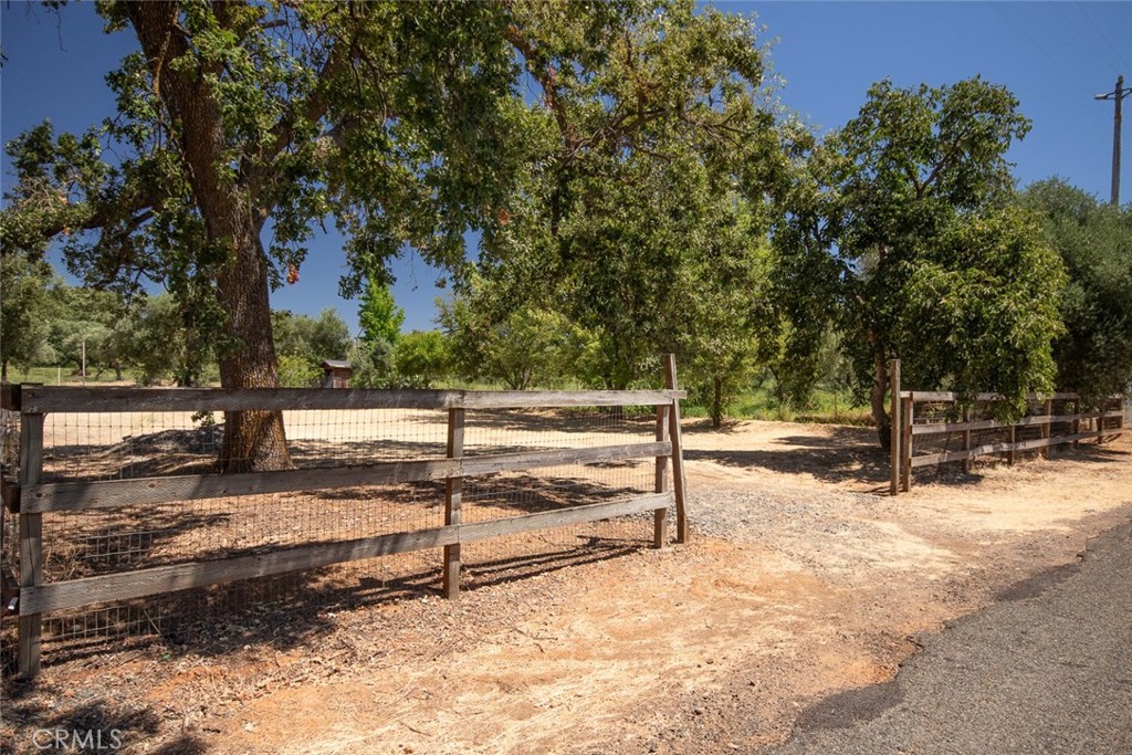 2520 Messina Property Photo 49