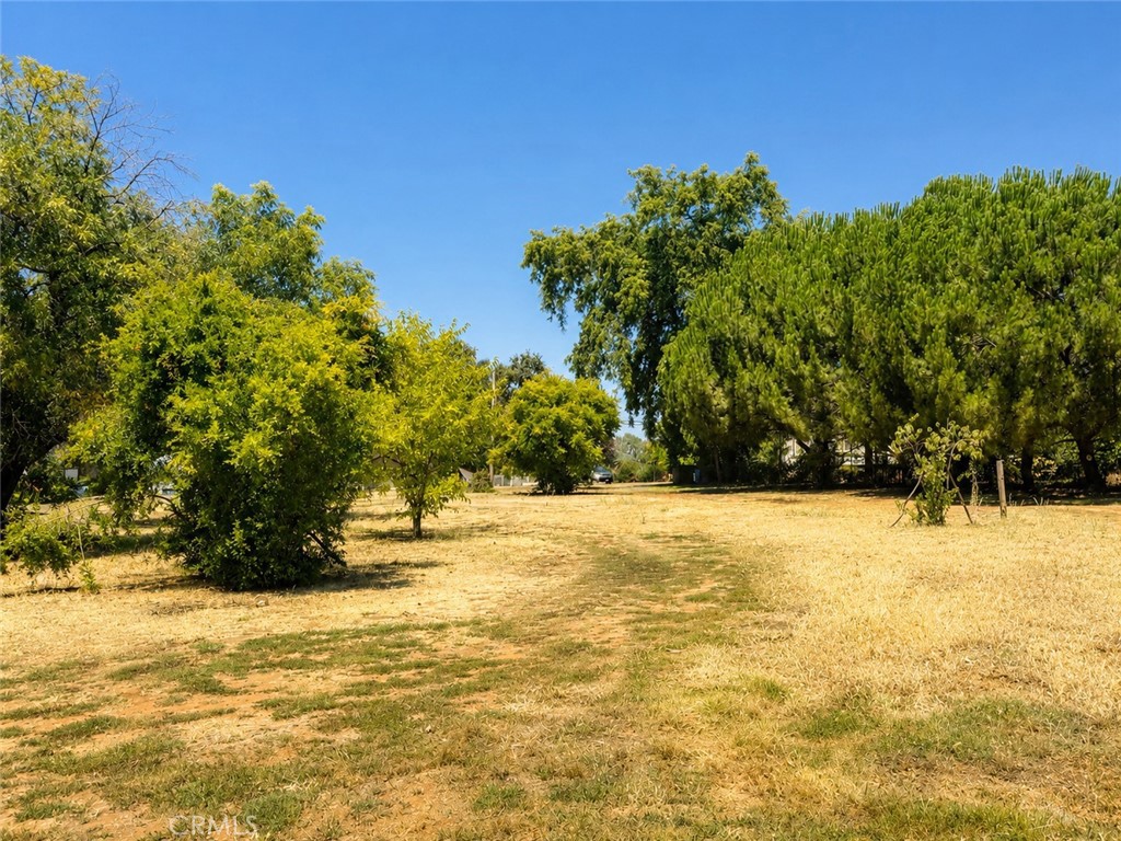 1134 12th Street Property Photo 20