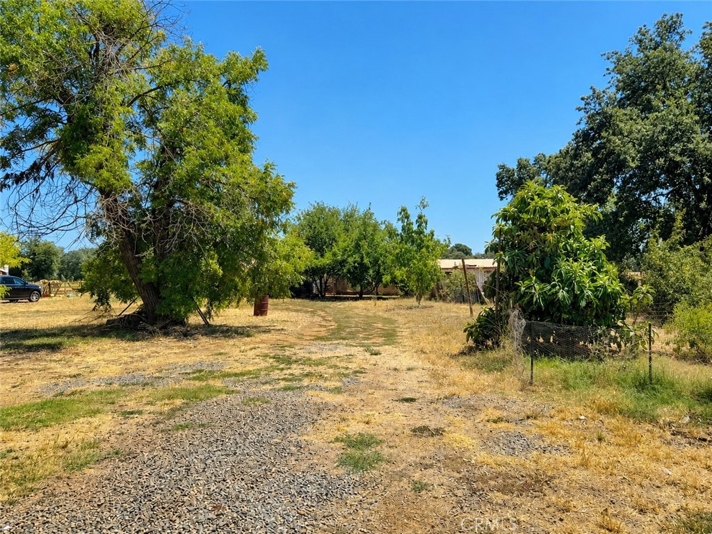 1134 12th Street Property Photo 23