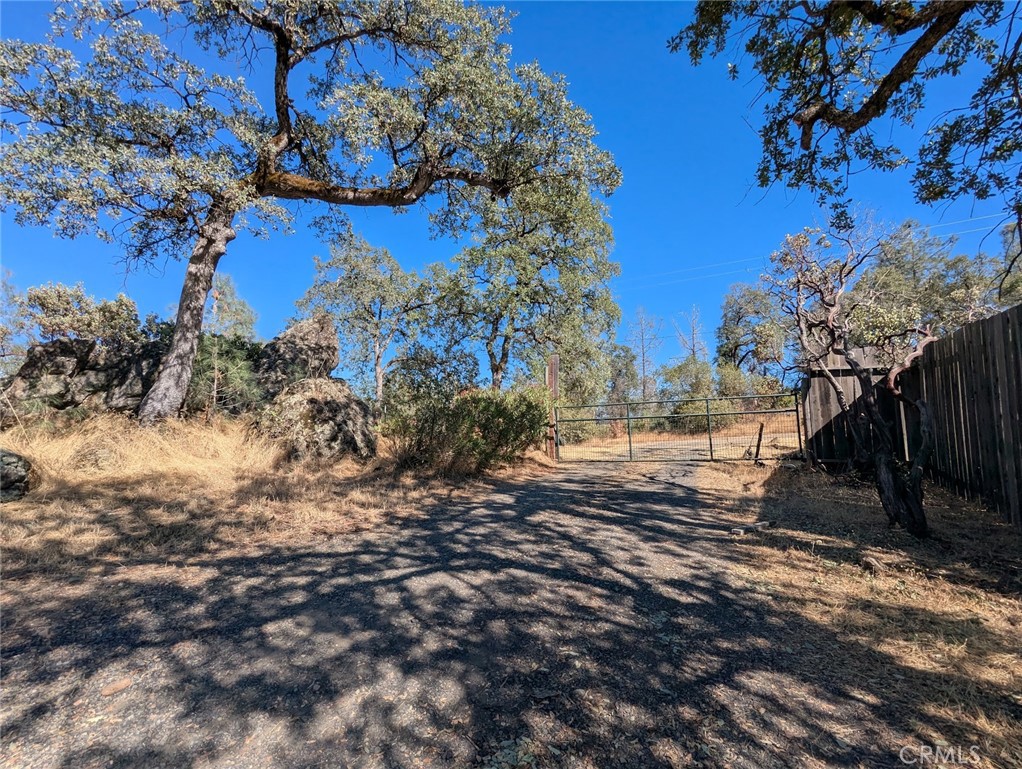322 Deer Meadow Property Photo 3
