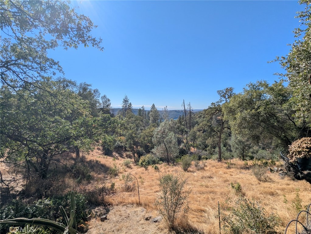 322 Deer Meadow Property Photo 15