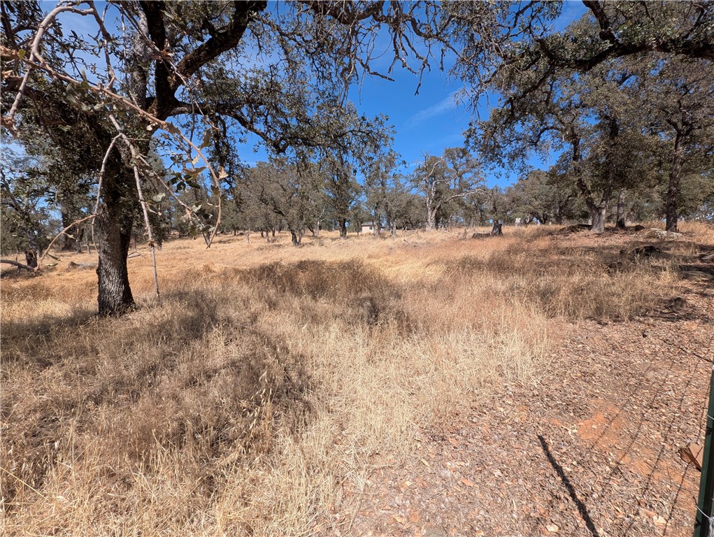 0 Springtime Trail Property Photo 2