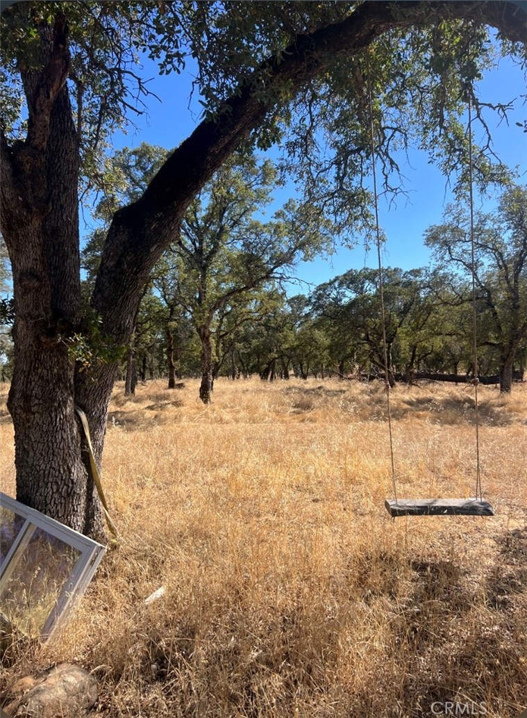 0 Springtime Trail Property Photo 3
