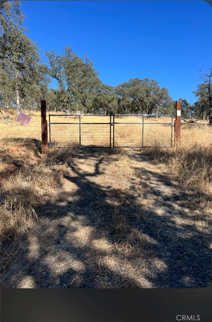 0 Springtime Trail Property Photo 4