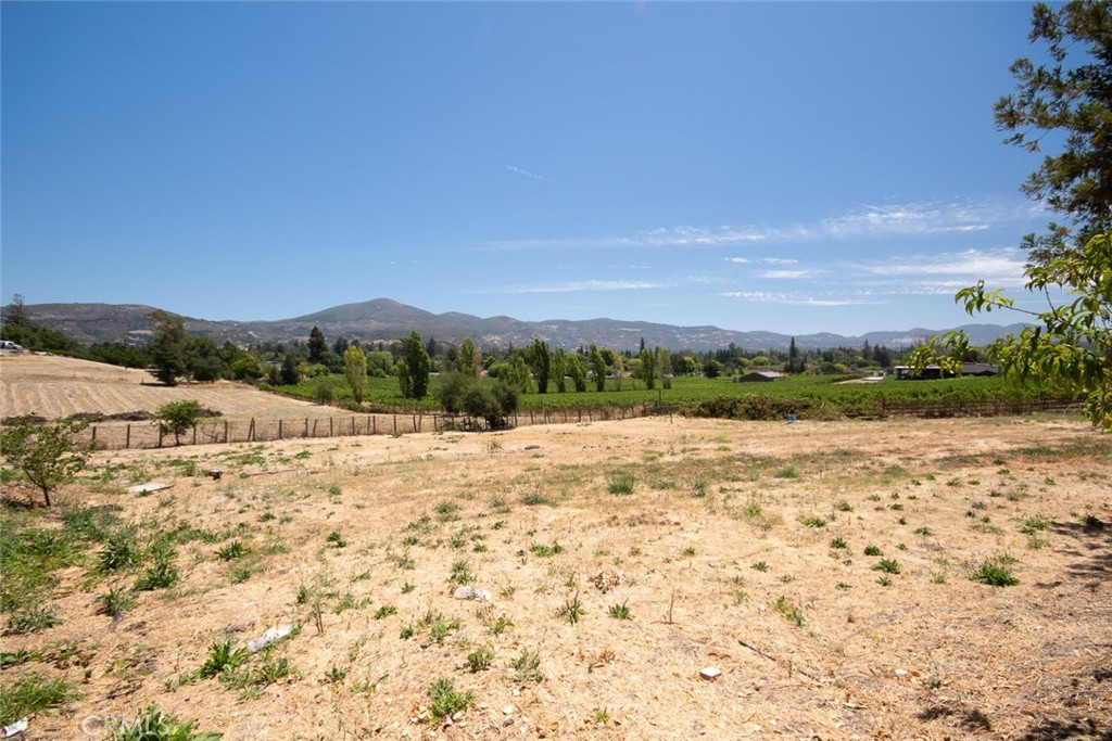 1111 Hardman Avenue Property Photo 54