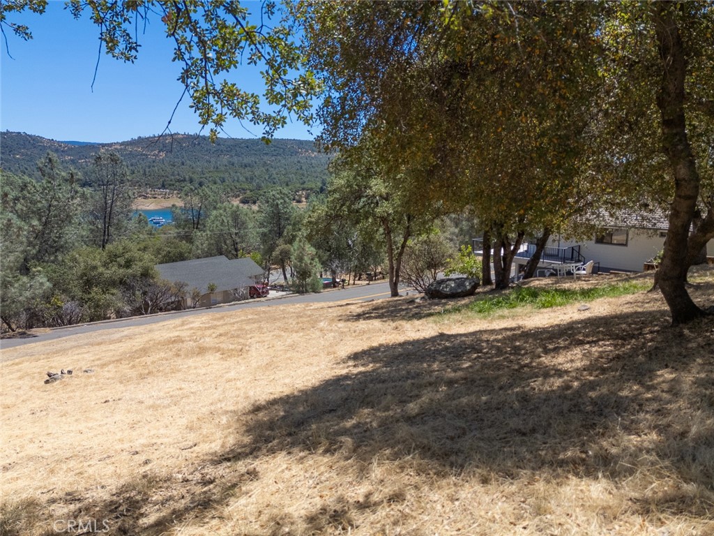 6536 Jack Hill Drive Property Photo 18