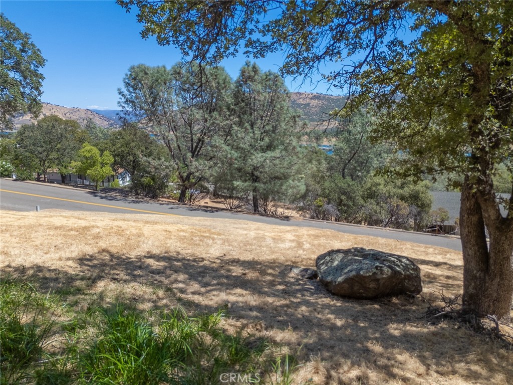 6536 Jack Hill Drive Property Photo 19