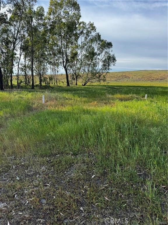 0 Coyote Property Photo 8