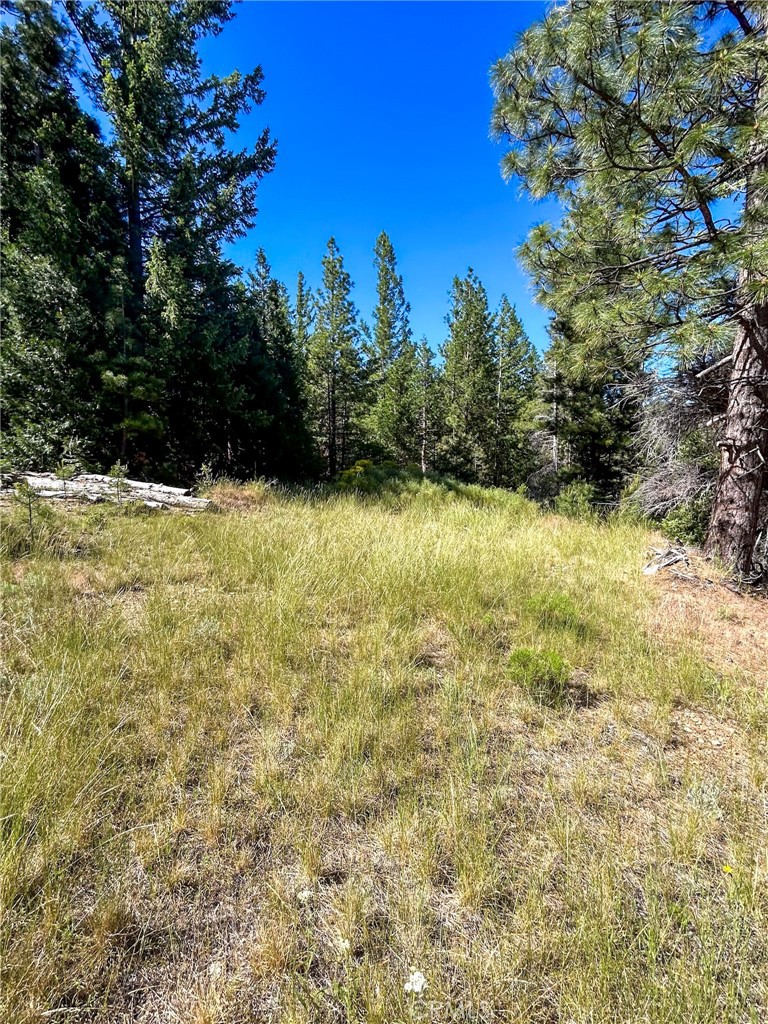 0 Gazelle Callahan Rd Property Photo 22
