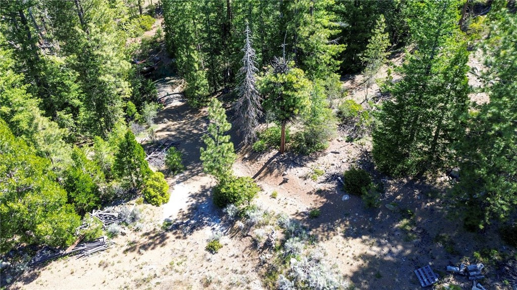 0 Gazelle Callahan Rd Property Photo 26
