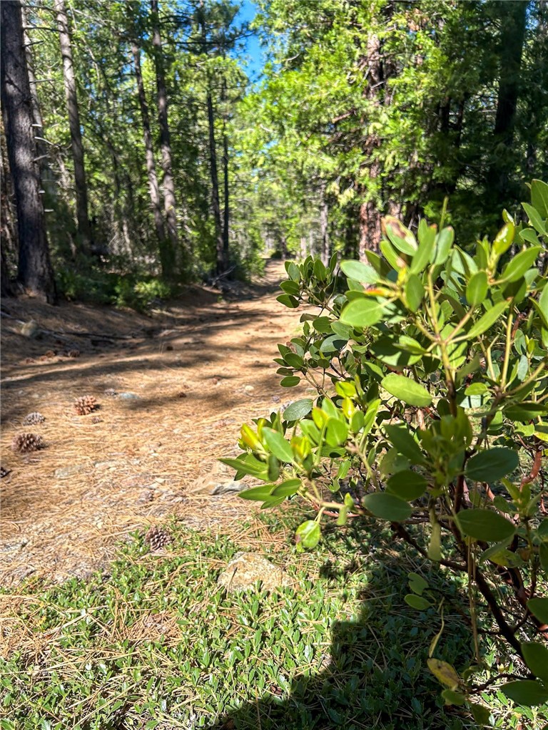 0 Gazelle Callahan Rd Property Photo 29