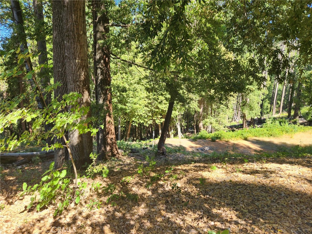 11157 Breezy Boulevard Property Photo 2